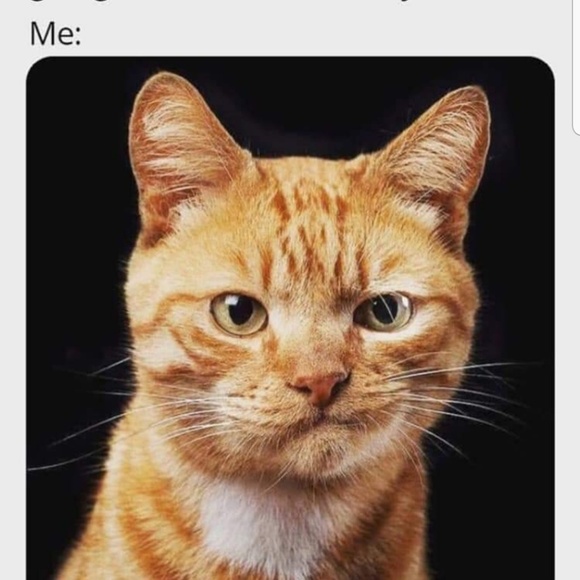 Meet your Posher, Jeunesse - Picture 1 of 1